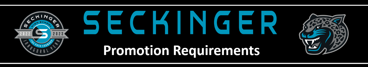 Promotion Requirements